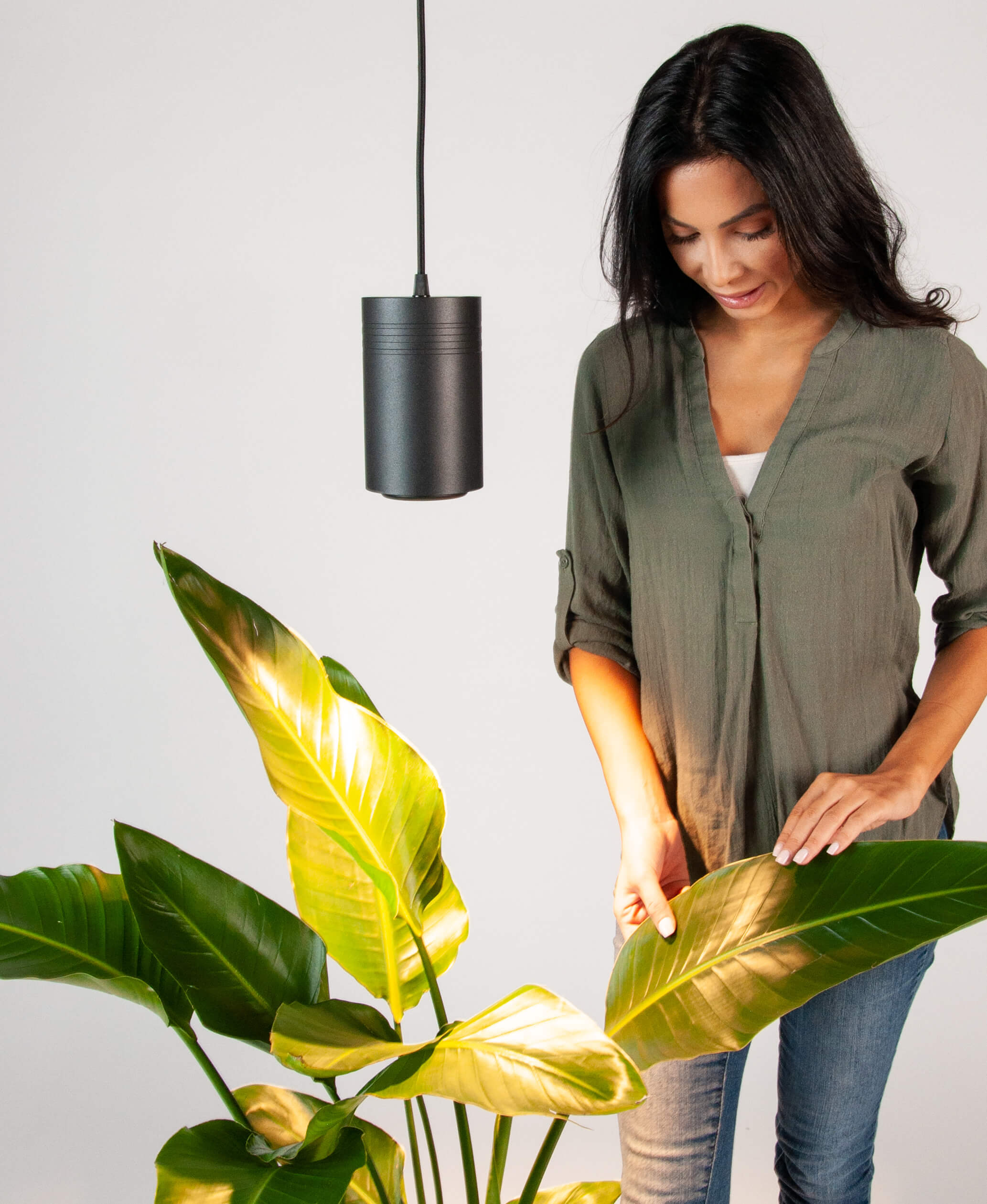Bloomscape Indoor Grow Light Bloomscape Indoor Grow Light
