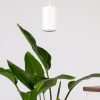 Bloomscape Indoor Grow Light