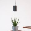 Bloomscape Indoor Grow Light