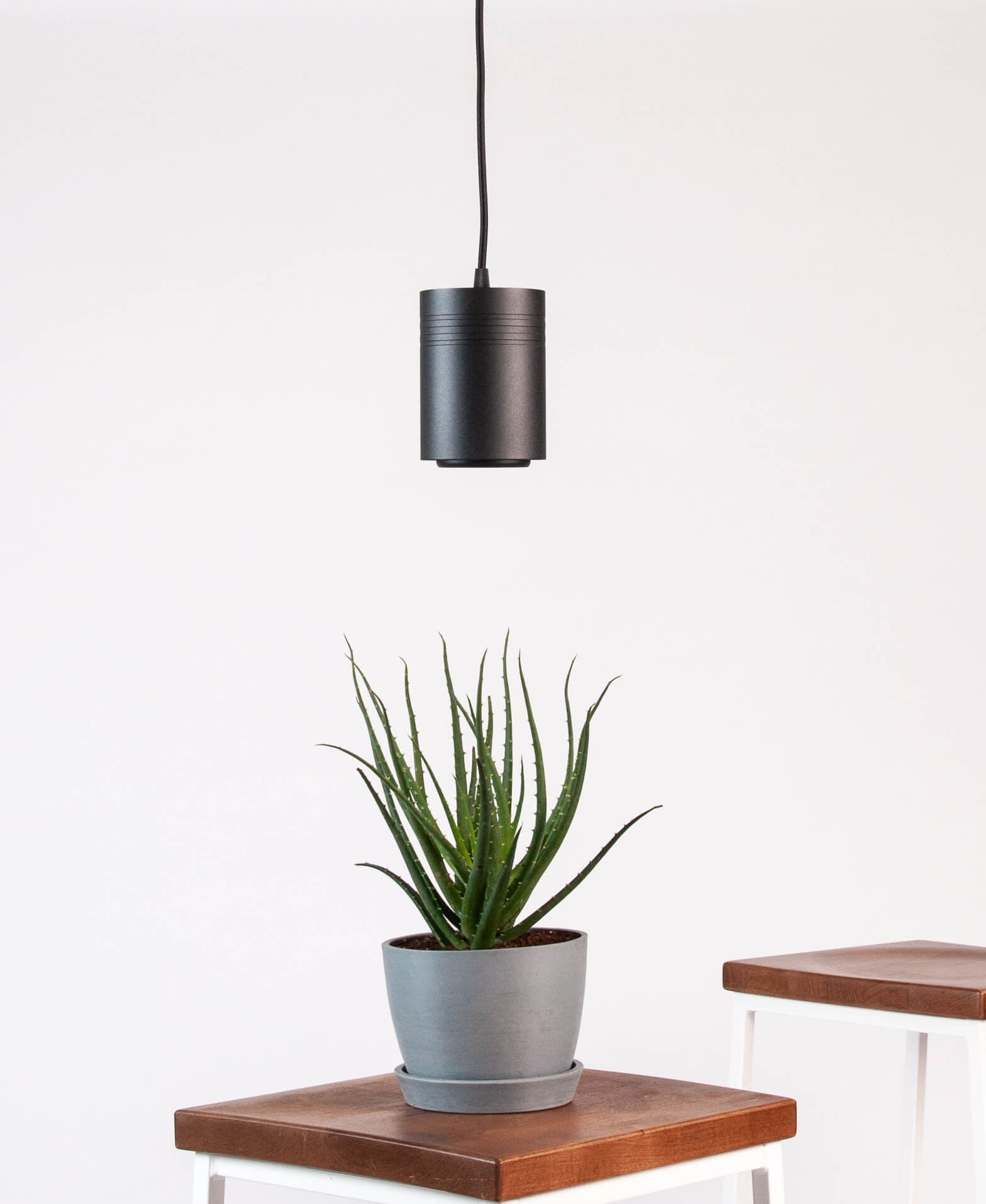 Bloomscape Indoor Grow Light Bloomscape Indoor Grow Light