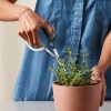 Buy Homeforest Pruning Scissors