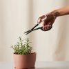 Buy Homeforest Pruning Scissors