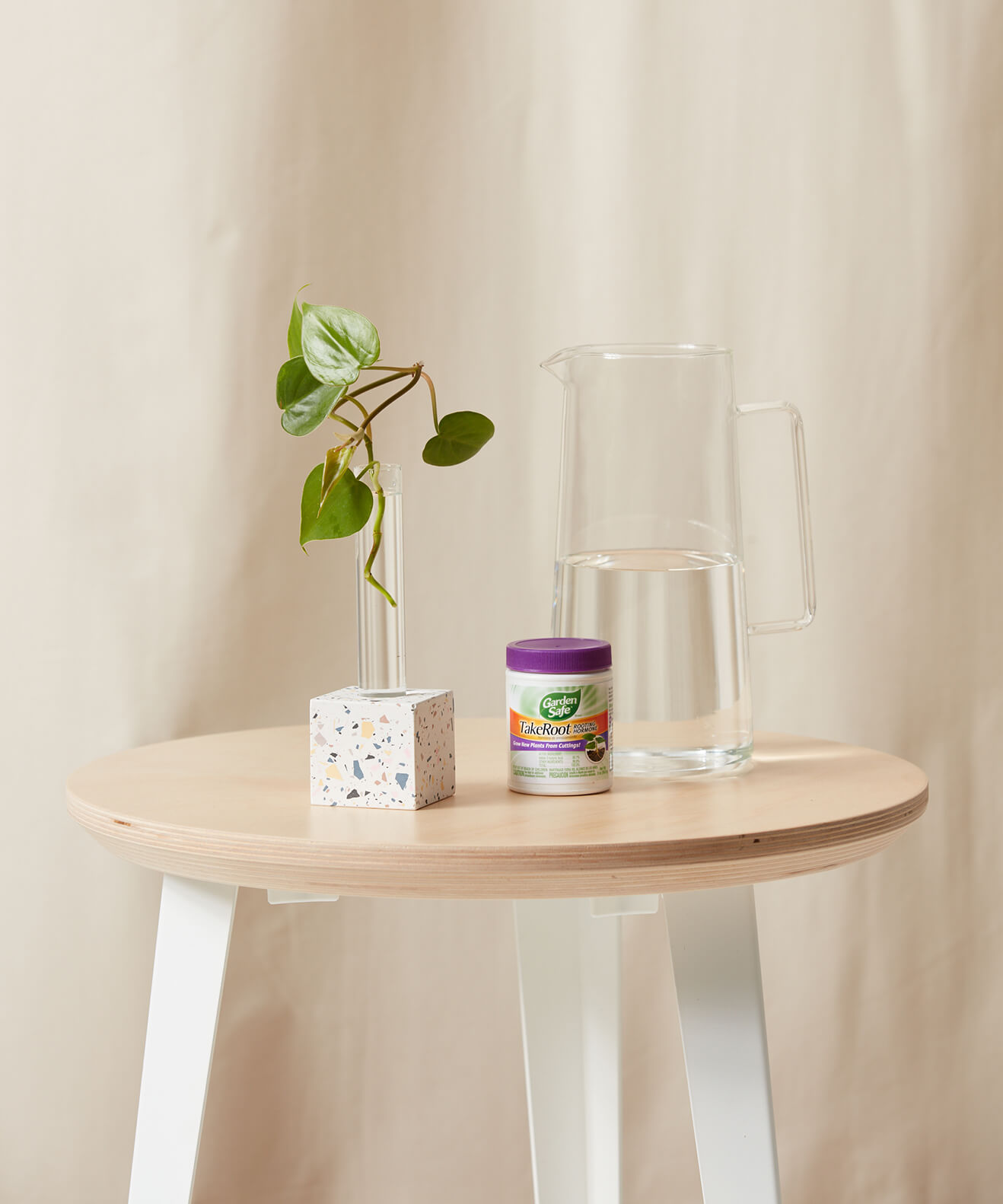bloomscape_speckl-prop-kit_Square_Multi_Hormones