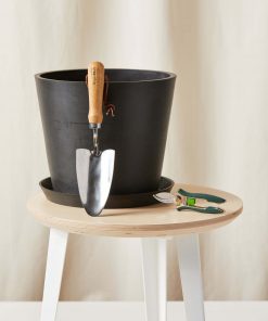 Plant Parent Essentials Kit