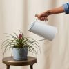 Buy Homeforest Large Watering Can