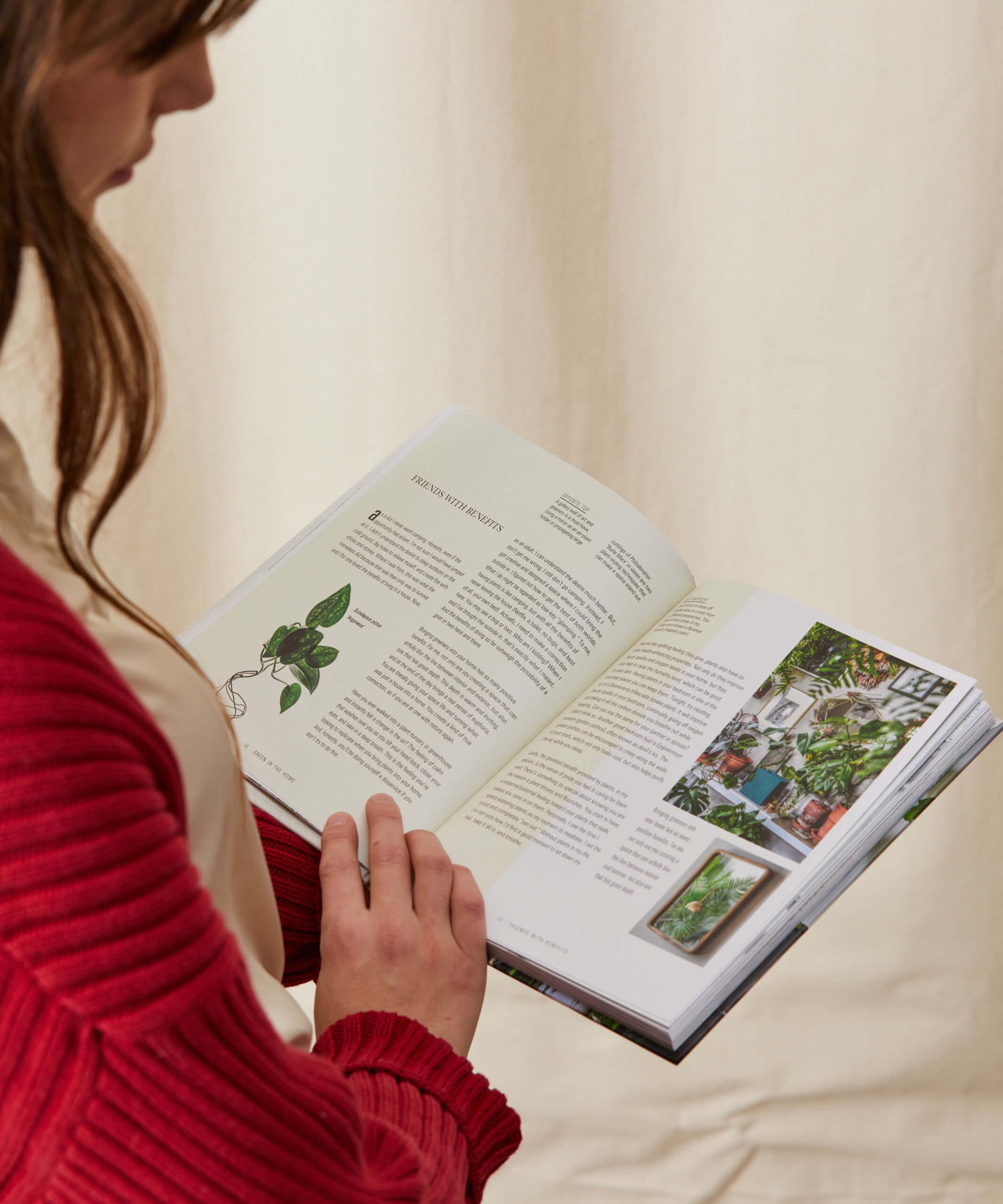 Buy Homeforest Wild At Home Buy Homeforest Wild At Home