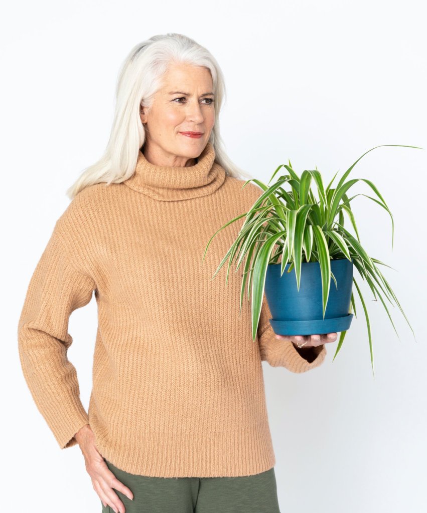 easy-plants-spider-plant-851x1024-2 The easiest houseplants, spider plant