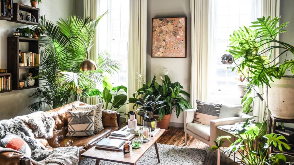 theo chân Hilton Carter khám phá nghề Plant Stylist