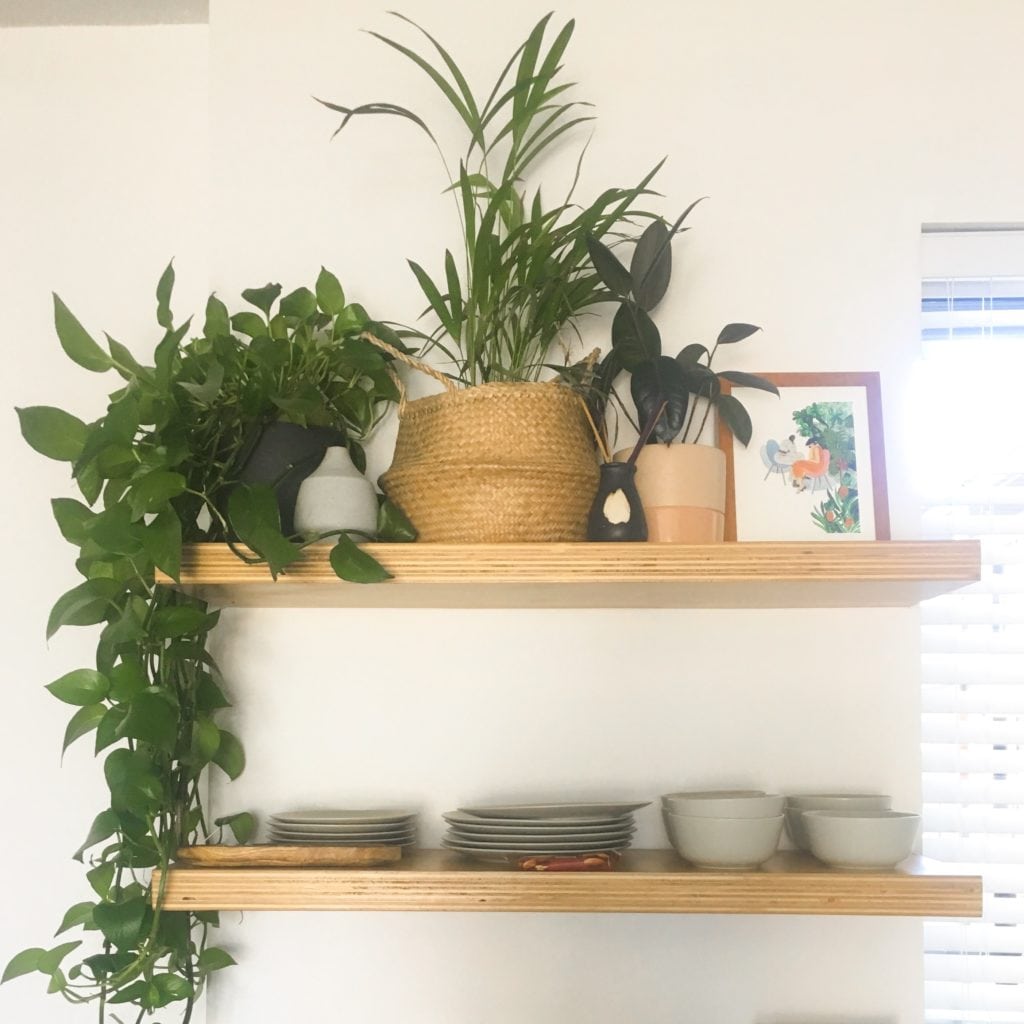 image7-1024x1024-2 Plant Life Series: An Artist’s Minimal Bohemian Apartment in Los Angeles