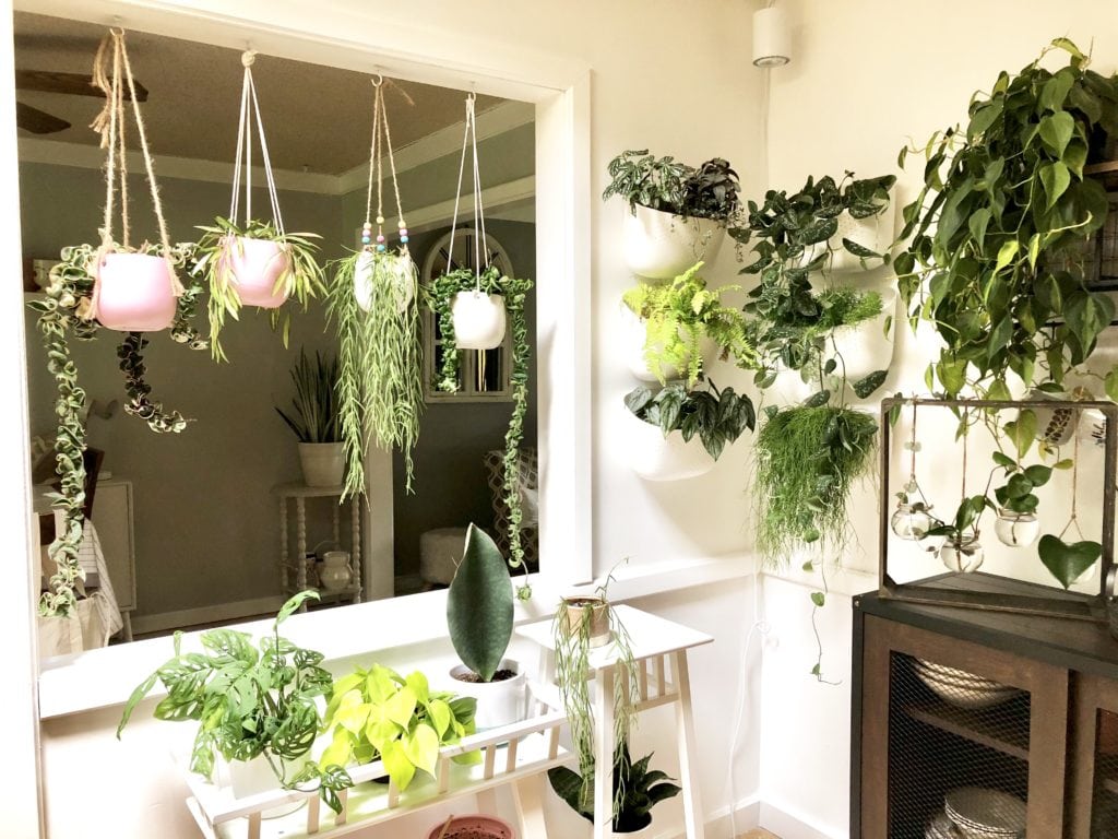 "thiên đường cây xanh" theo phong cách Bohemian hiện đại ở Chicago