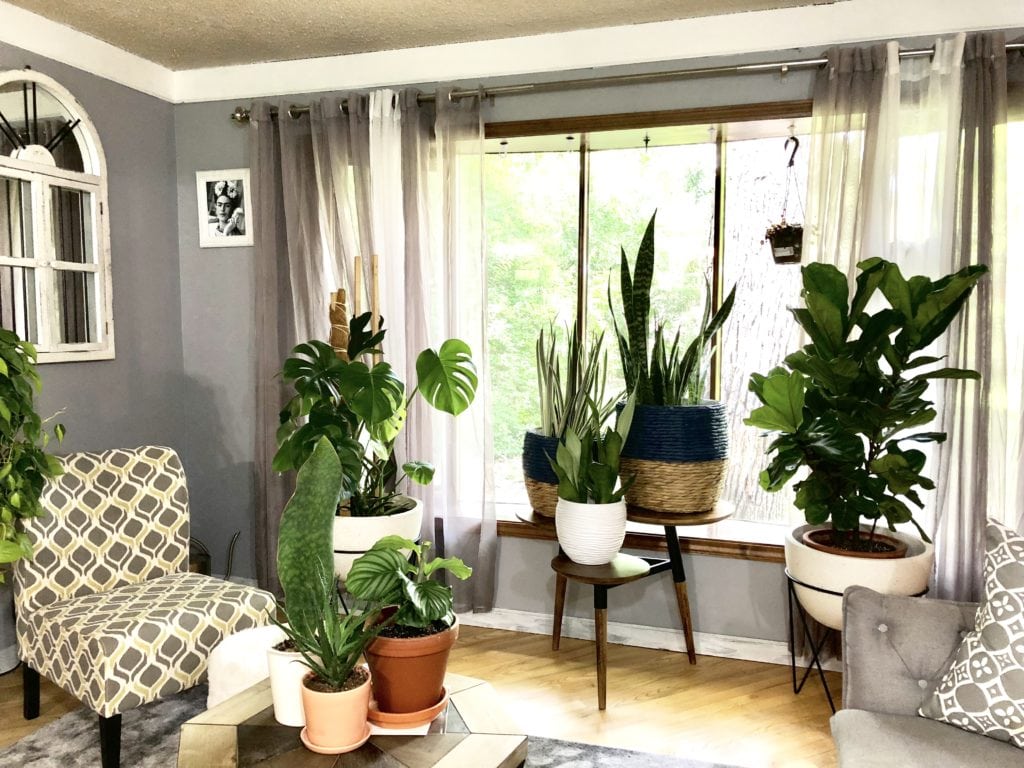 "thiên đường cây xanh" theo phong cách Bohemian hiện đại ở Chicago