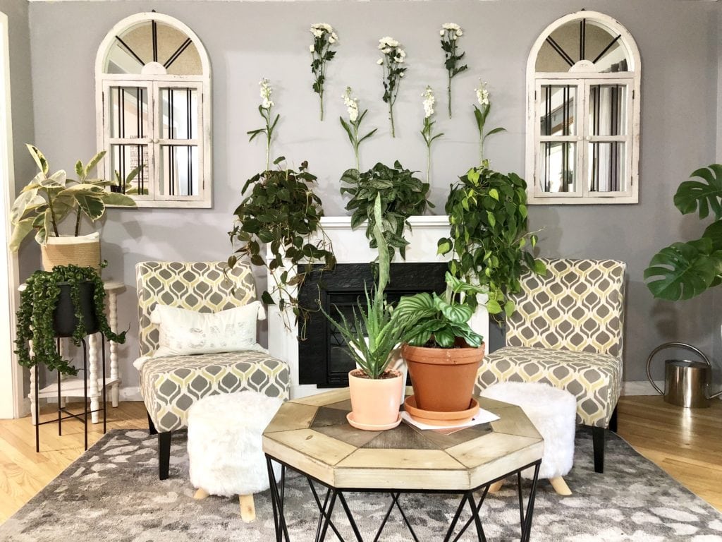 "thiên đường cây xanh" theo phong cách Bohemian hiện đại ở Chicago