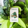 Buy Homeforest Plant Mom Pin