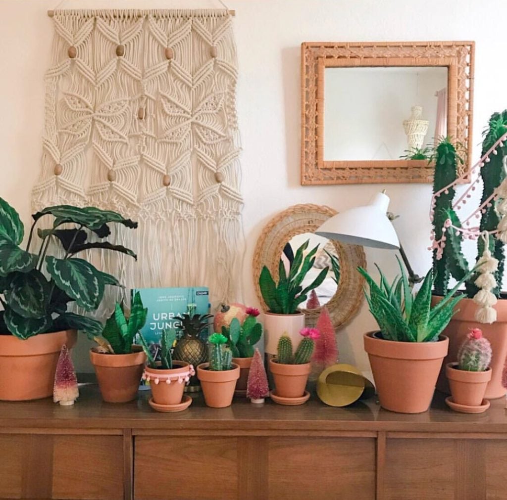 colorful bohemian home, bohemian style plants