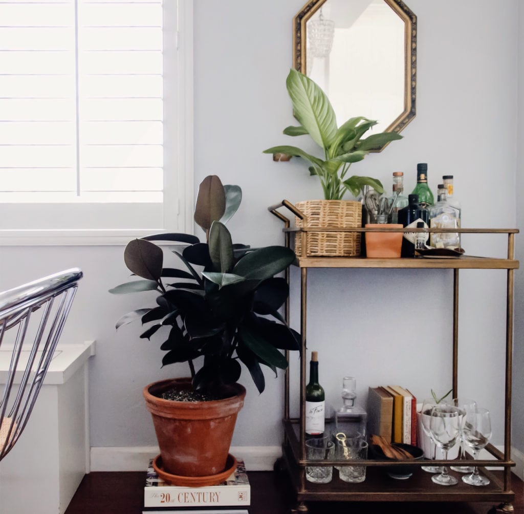 mary-interiano_0002_bloomscape-3-1 Mid-Century Modern Decor