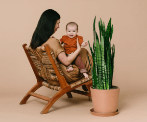 mothers-day-gift-guide_post-img-2-300x250-3 Bloomscape | Mother's Day Gift Guide