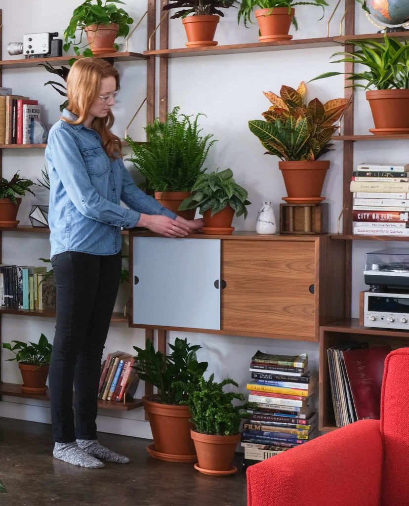 Advice from Plant Mom: Beginner’s Guide to Houseplants