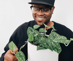 post-img-1-300x250-3 The Plant Care Chronicles: Ricky Dorn