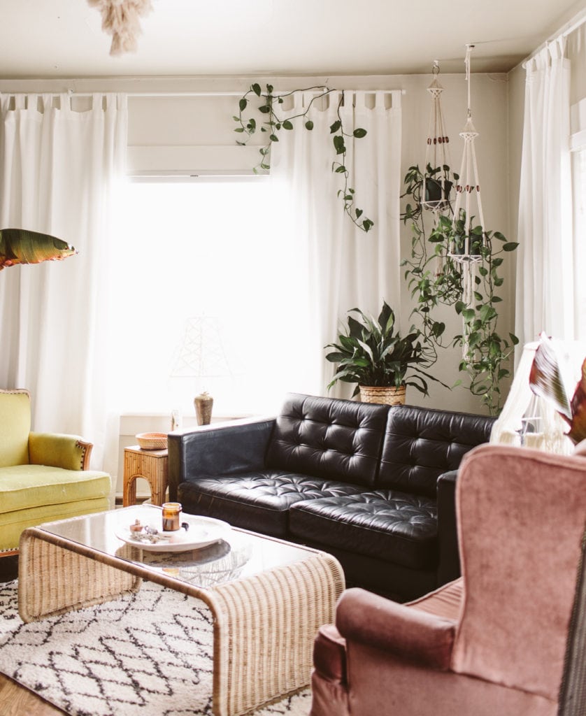 Best Plants for Your Apartment: Bloomscape Your Space Best Plants for Your Apartment: Bloomscape Your Space