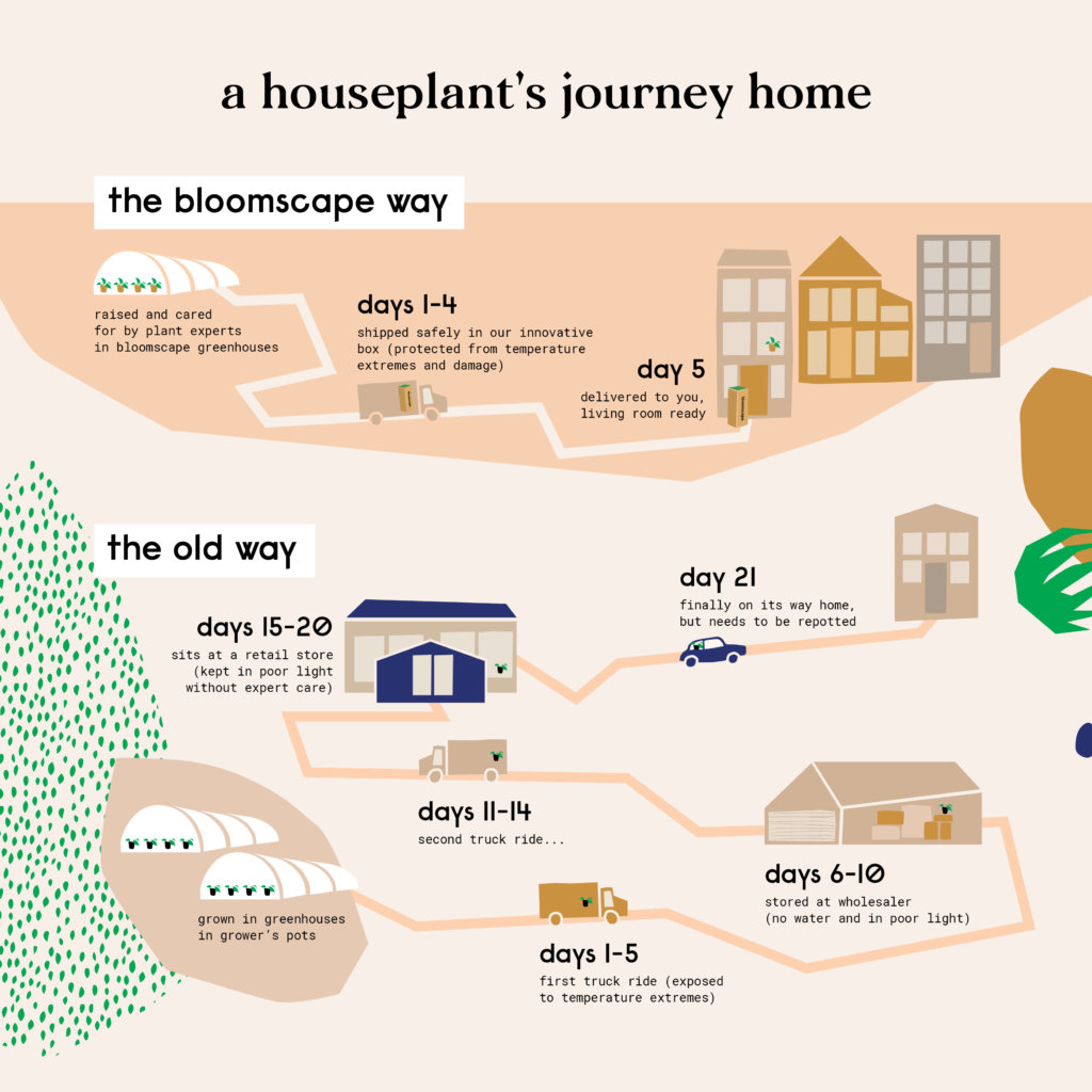 supply-chain-info-graphic-updated-1024x1024-2 Bloomscape best and easiest way to buy indoor plants